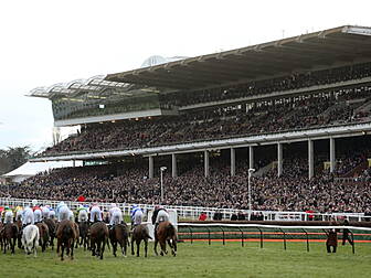 Cheltenham warns visitors with...